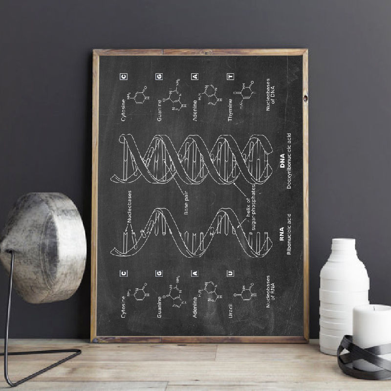 Star Map Poster - DNA Patent Wandkunst Genetik Poster Druck